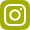 Green Instagram Icon